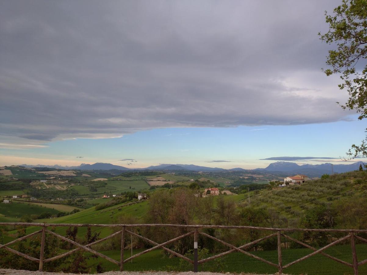 Tenuta Nonno Peppe *